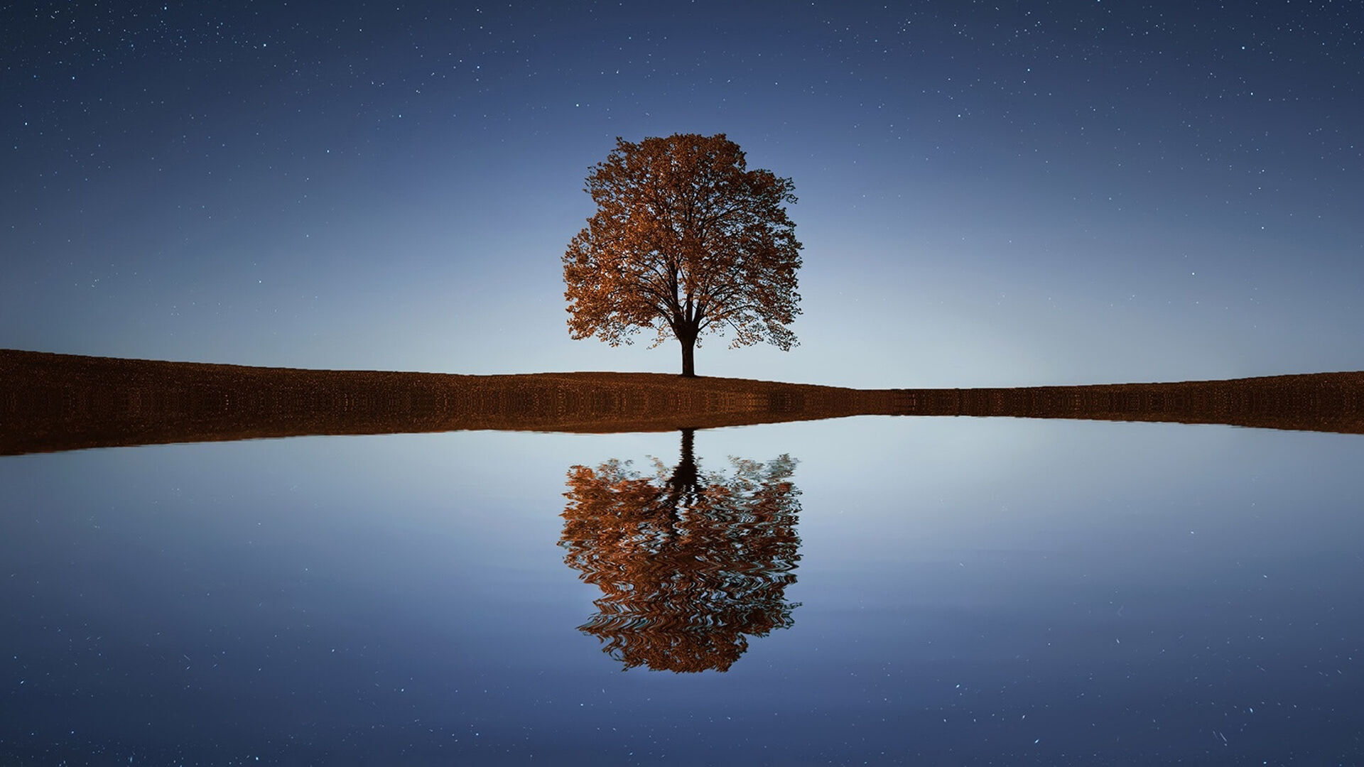 /Magazine/2022/December/header/Why you should replace New Year resolutions with Sankalpa intentions this year.jpg